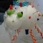 AMU: "Planet of viruses" workshop